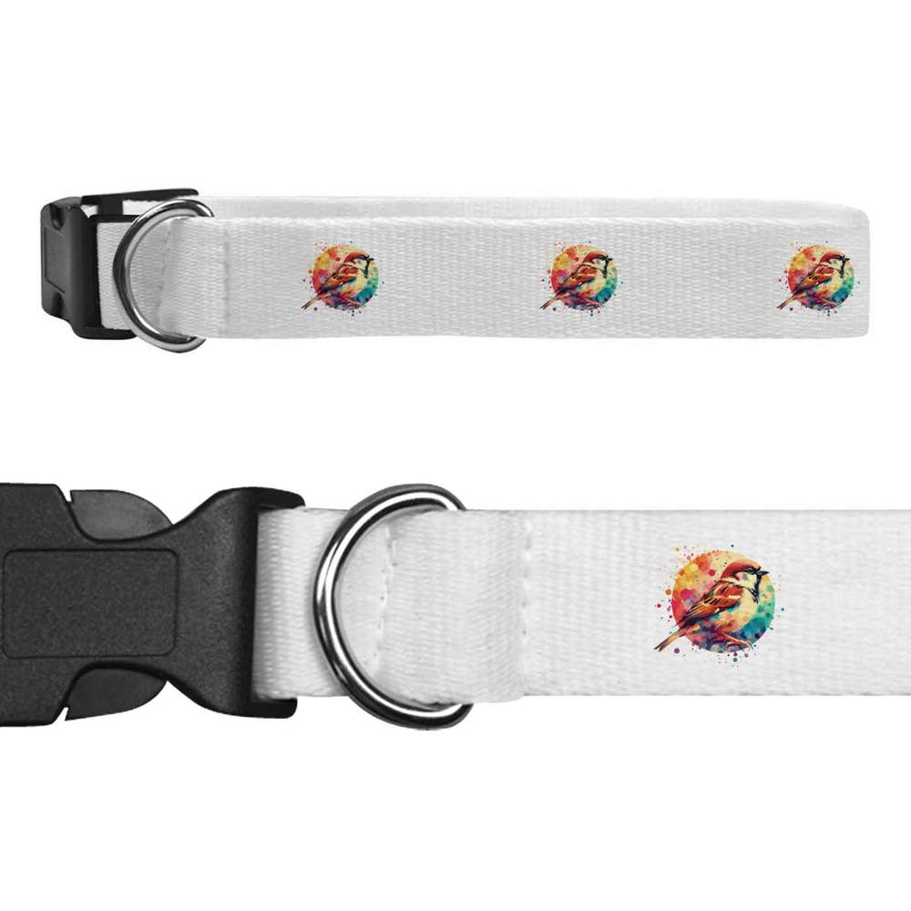 'House Sparrow' Dog Collars (PR047461)