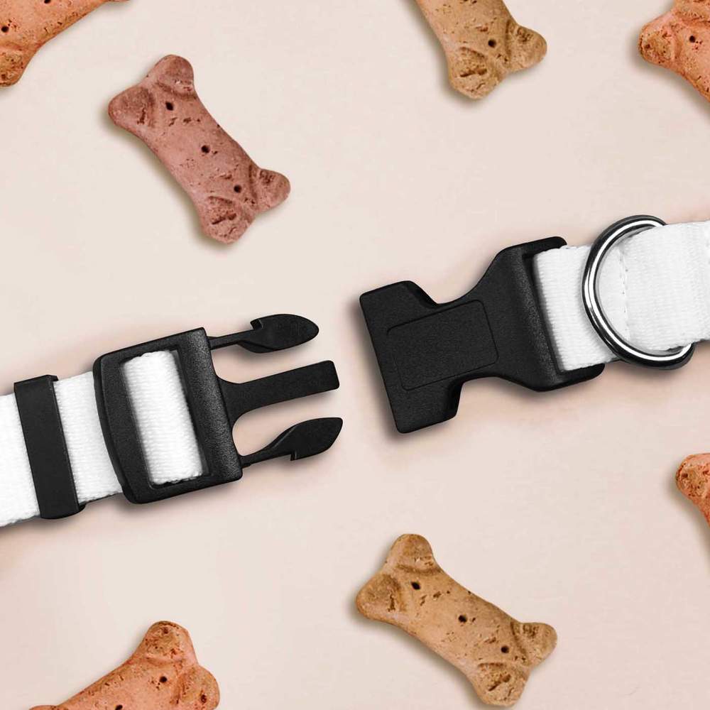 azeeda/PR/PETCOLLARWHTS/PR00055541_03