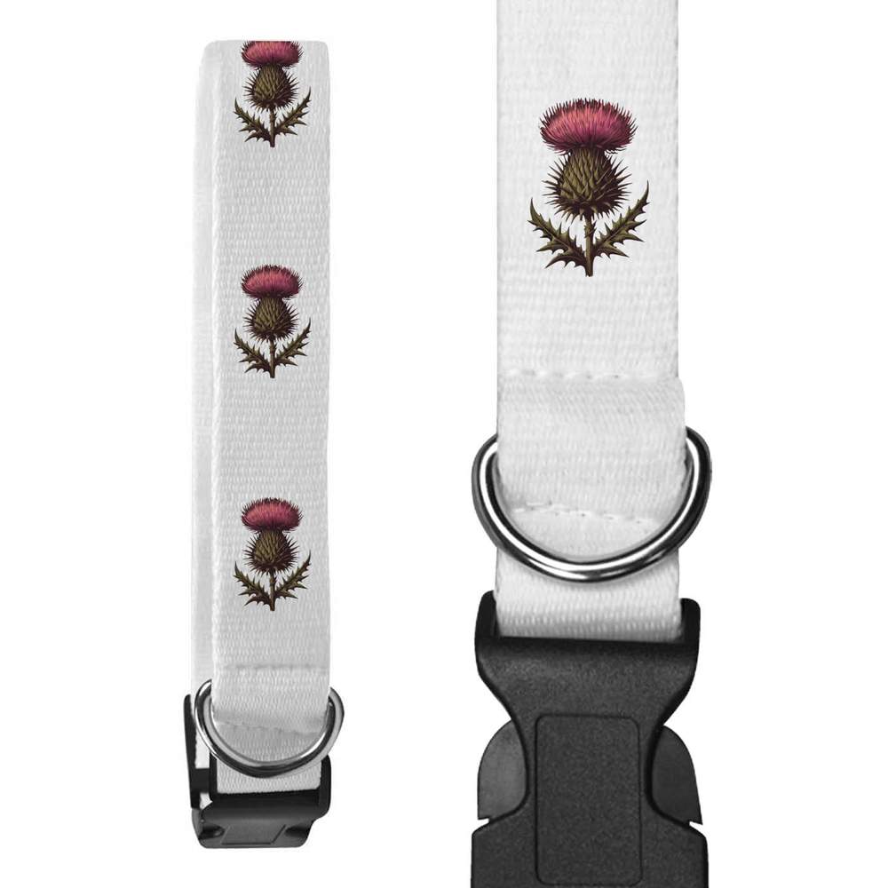'Scottish Thistle' Dog Collars (PR049925)