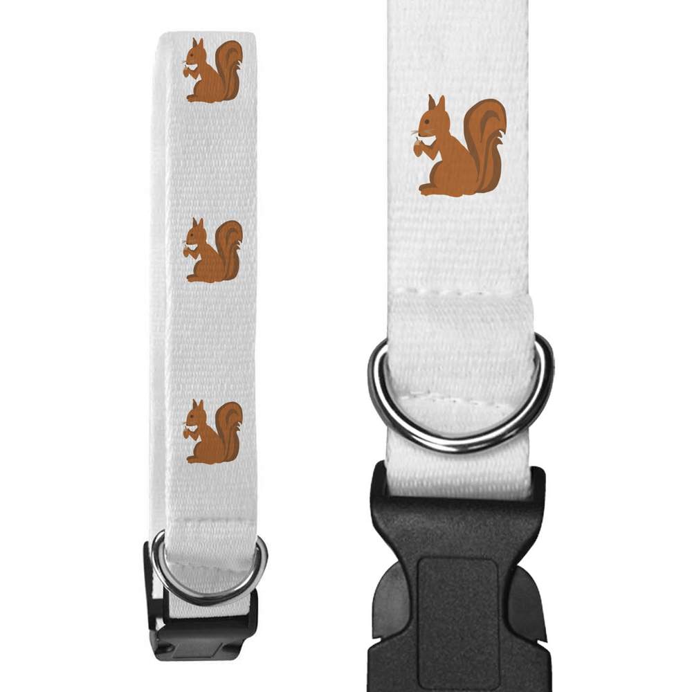 'Squirrel With Acorn' Dog Collars (PR050311)