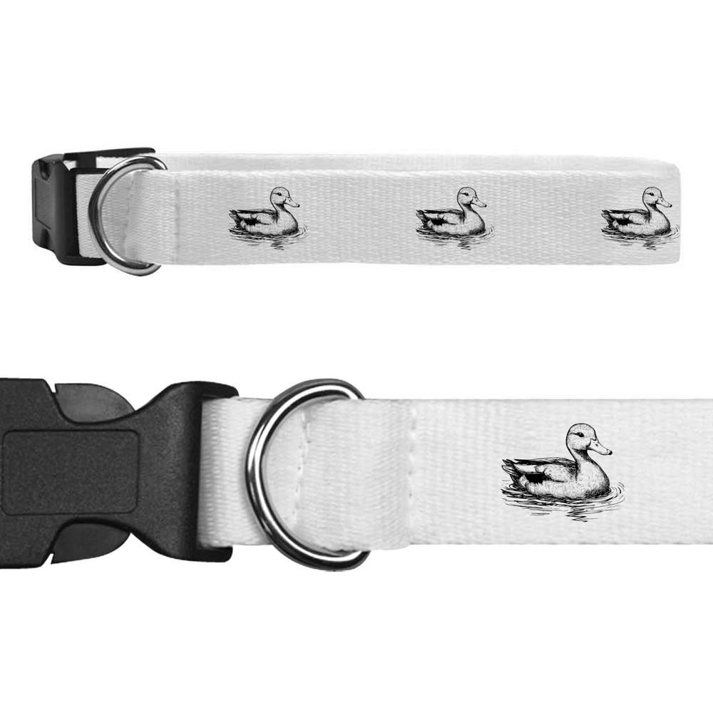 'Swimming Duck' Dog Collars (PR051490)