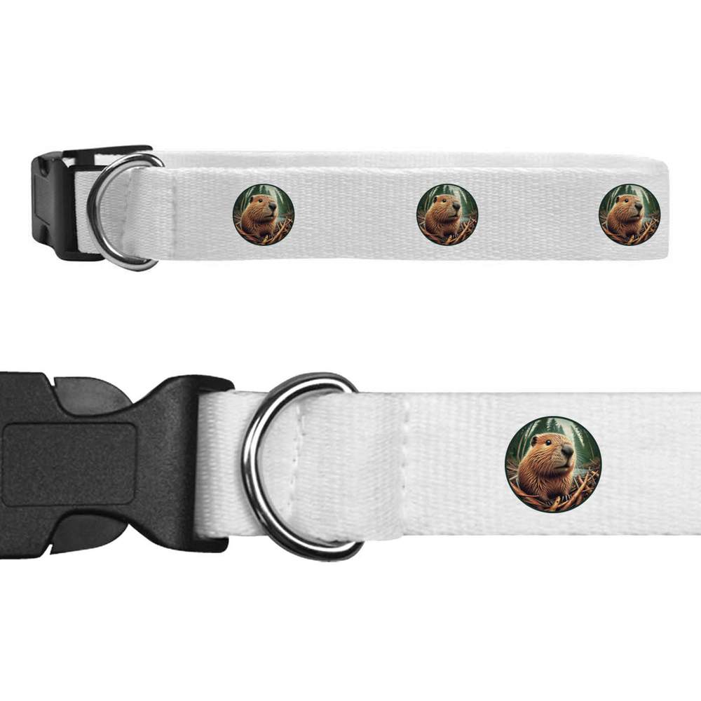 'Busy Beaver' Dog Collars (PR051847)