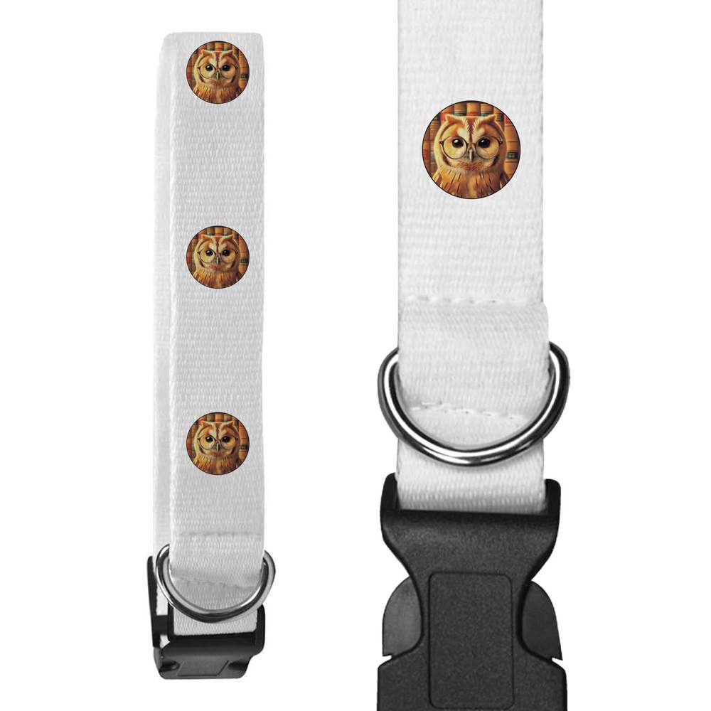 'Tawny Owl Wearing Glasses' Dog Collars (PR051885)