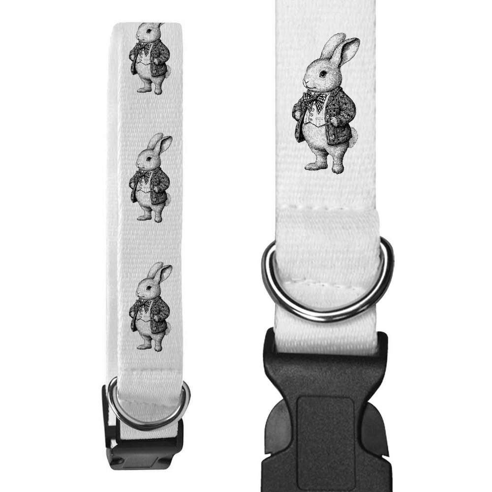 'Vintage Bunny Wearing Coat' Dog Collars (PR054988)