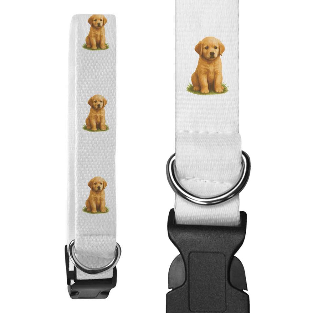 'Golden Retriever Puppy Sitting On The Grass' Dog Collars (PR056753)