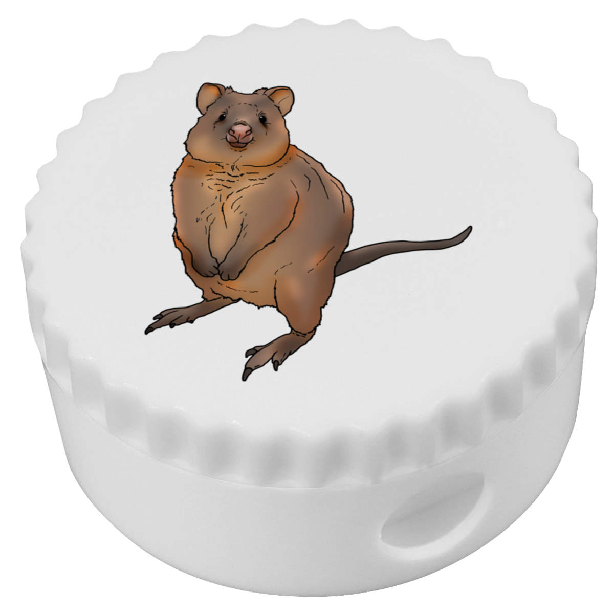 'Quokka' Compact Pencil Sharpener (PS00025311)