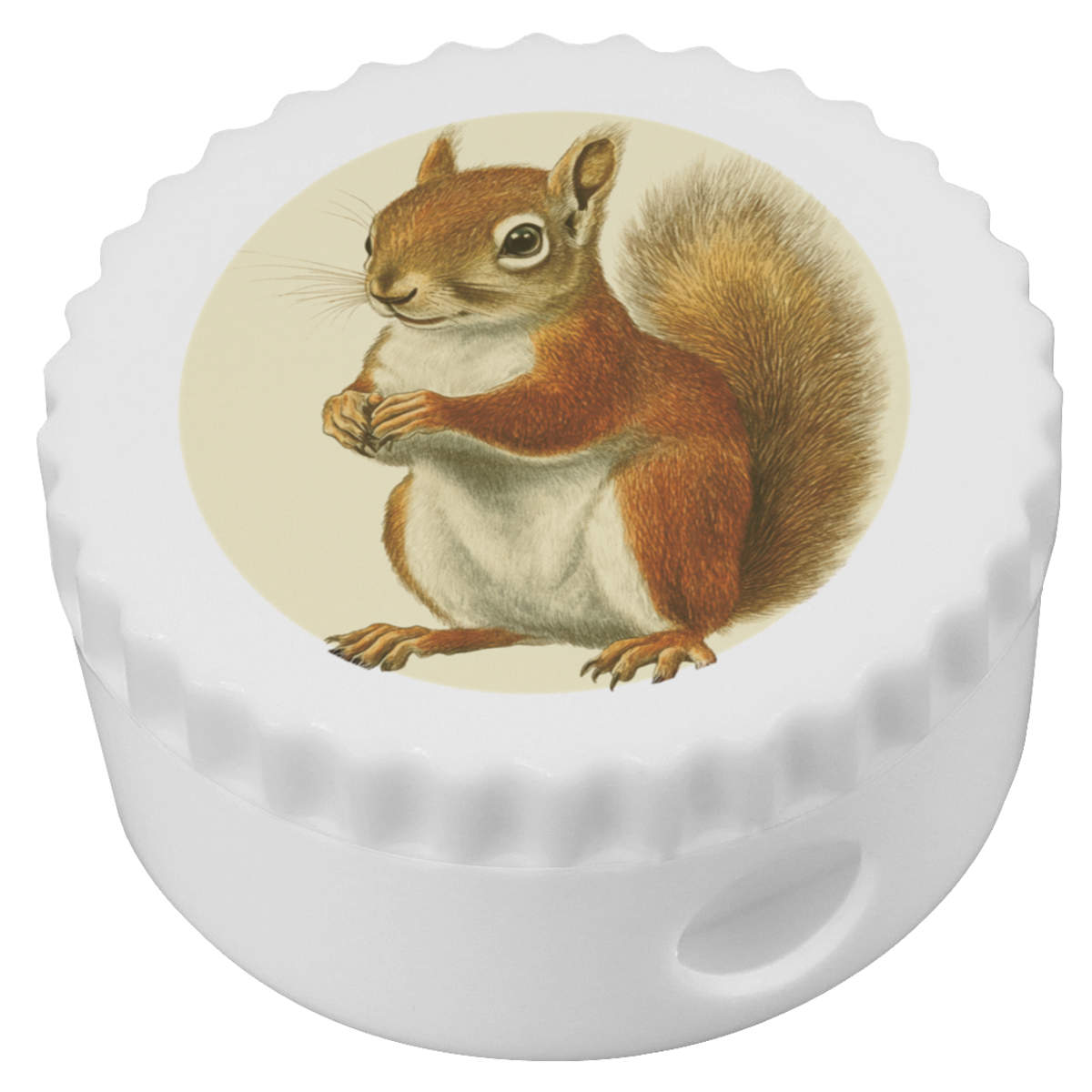 'Red Squirrel Side View' Compact Pencil Sharpener (PS00043924)