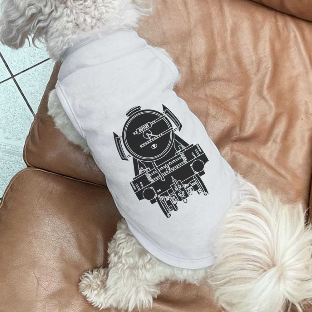 Zdjęcie 23 z 25