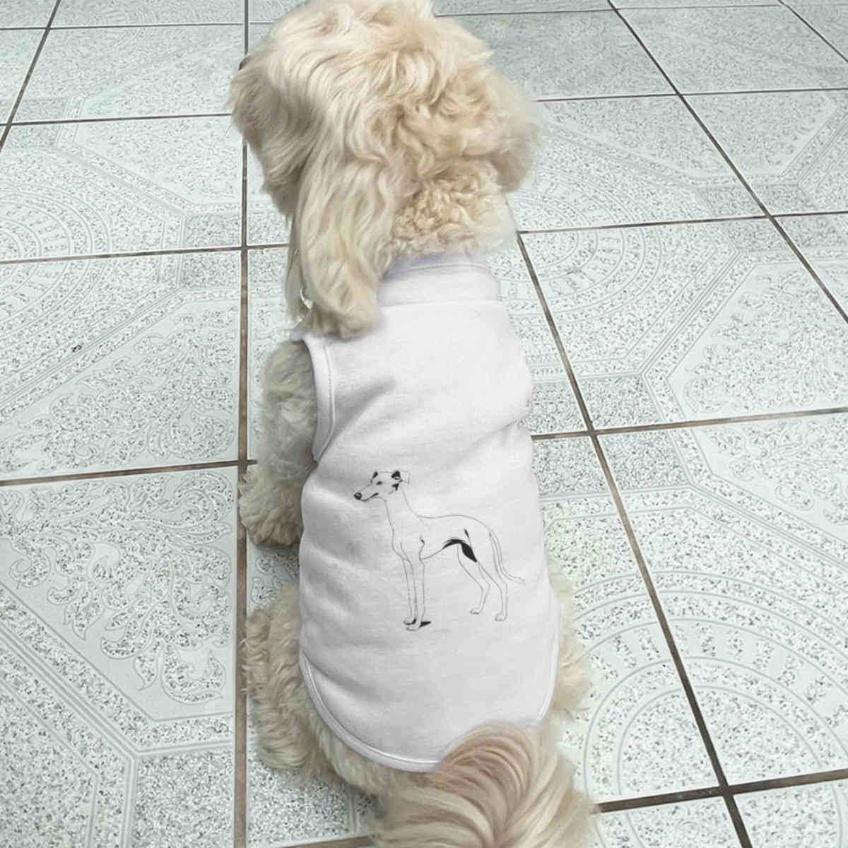 'Greyhound' Pet Dog / Cat T-Shirt (PT042935) - Picture 22 of 25