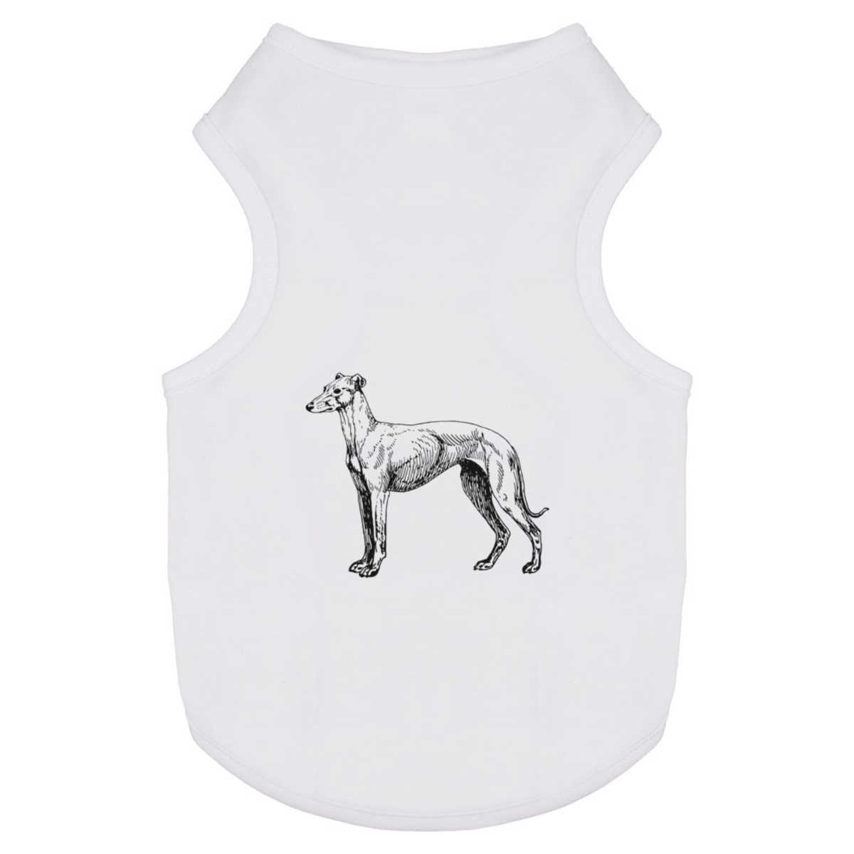 'Greyhound Dog' Pet Dog / Cat T-Shirt (PT050511) - Picture 21 of 25