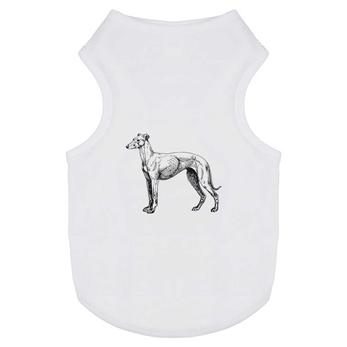 'Greyhound Dog' Pet Dog / Cat T-Shirt (PT050511) - Picture 16 of 25