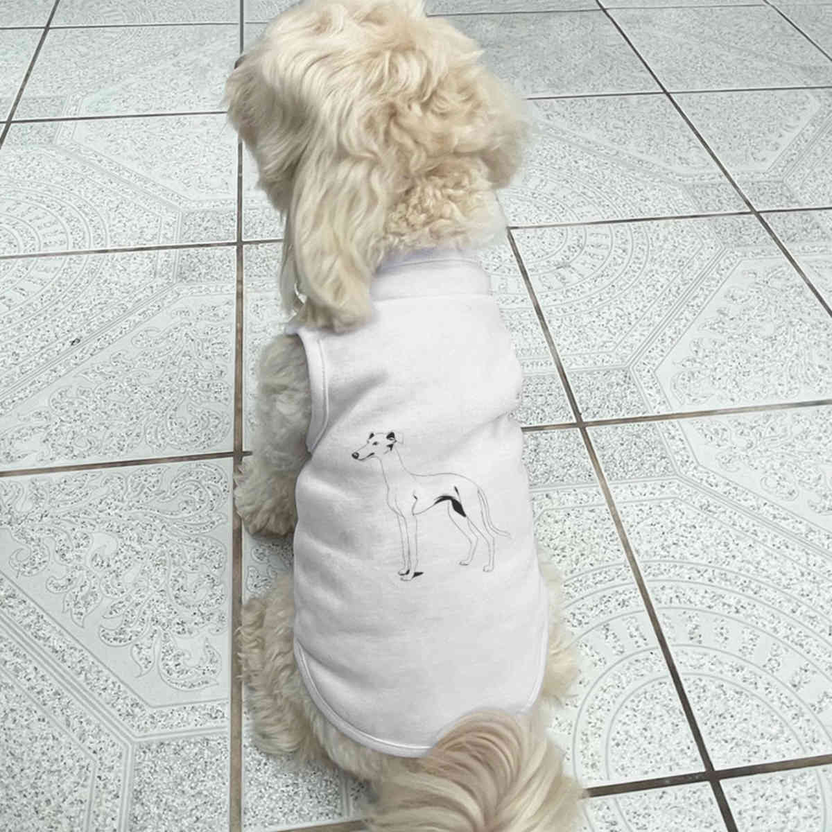 'Greyhound' Pet Dog / Cat T-Shirt (PT042935) - Picture 12 of 25