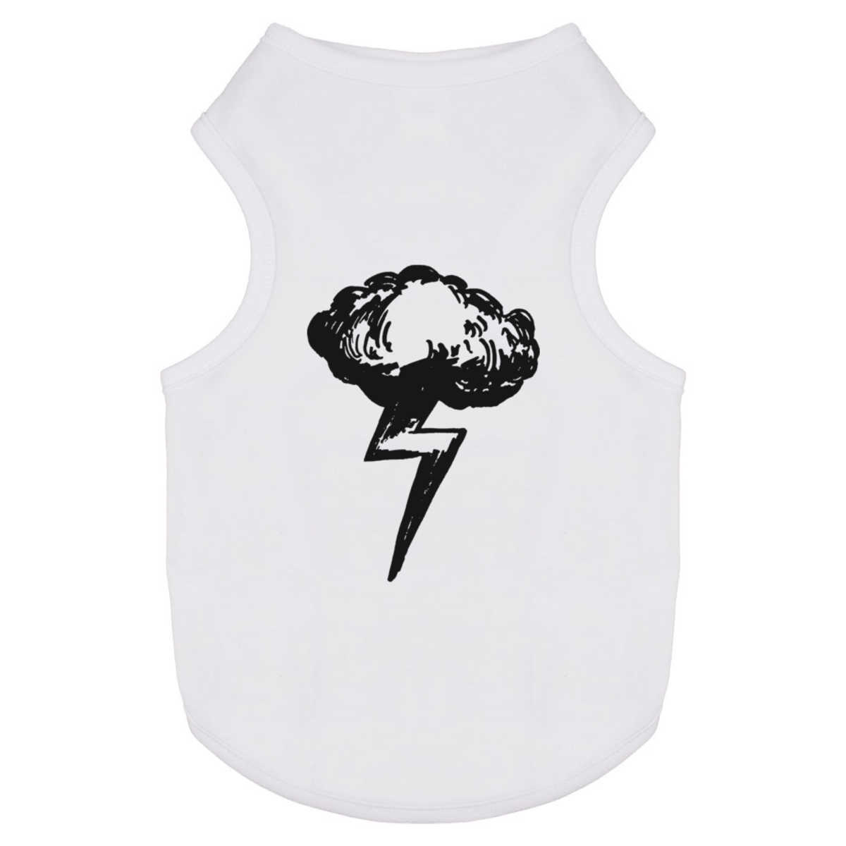 'Storm Cloud' Pet Dog / Cat T-Shirt (PT013544)