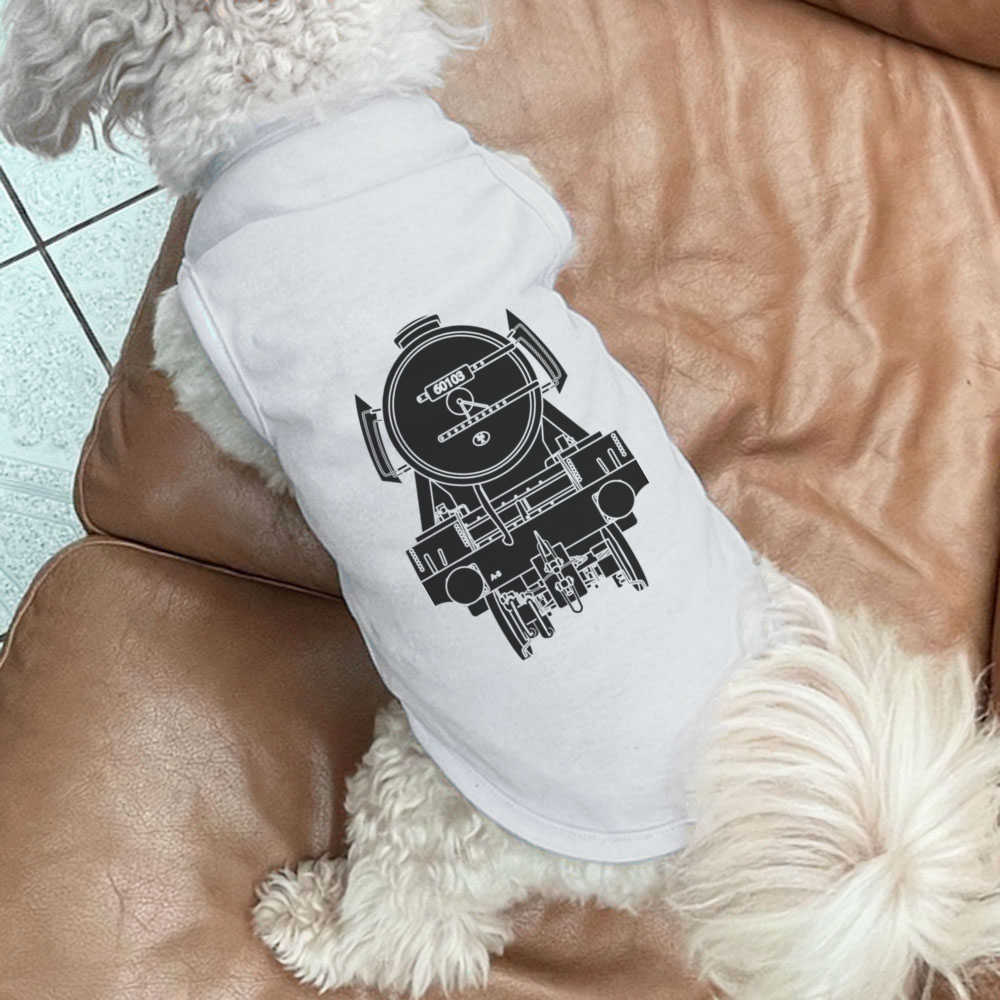 Zdjęcie 8 z 25