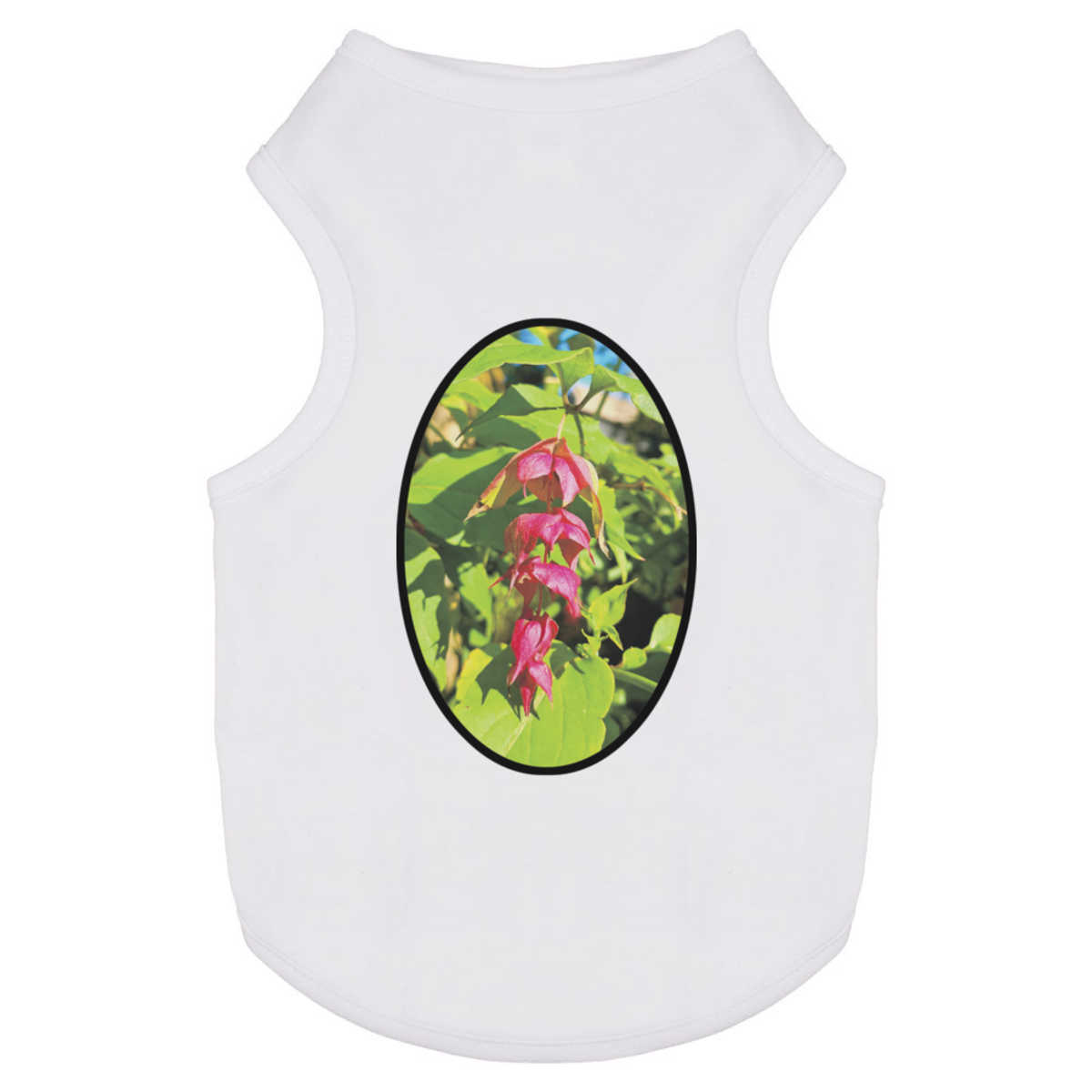 'Himalayan Honeysuckle' Pet Dog / Cat T-Shirt (PT041879)