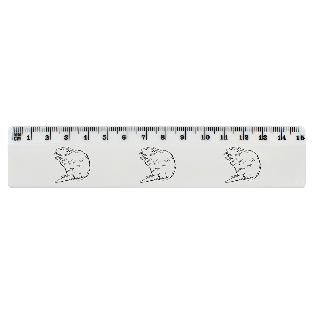 'Beaver' White Plastic Ruler (RL027713)