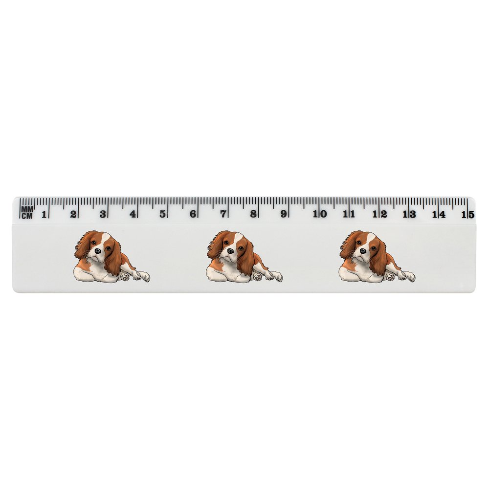 'Cavalier King Charles' 15cm (6 Inch) White Plastic Ruler (RL00054104)