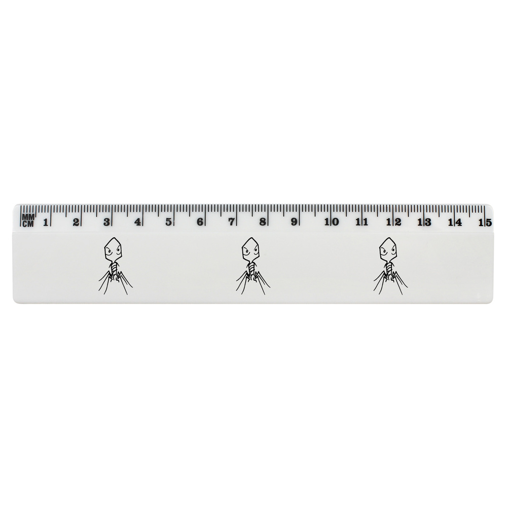 'Bacteriophage Virus' 15cm (6 Inch) White Plastic Ruler (RL00056800)