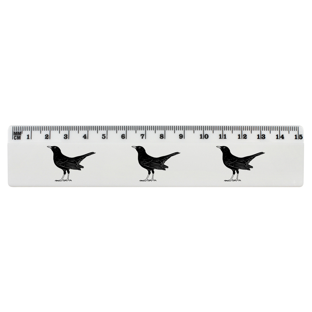 'Blackbird' White Plastic Ruler (RL035699)