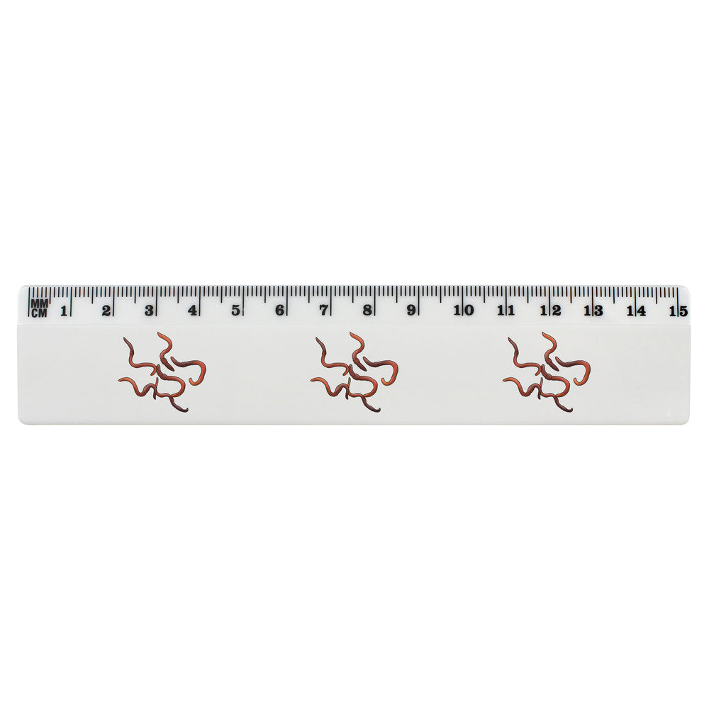 'Earthworms' 15cm (6 Inch) White Plastic Ruler (RL00067629)
