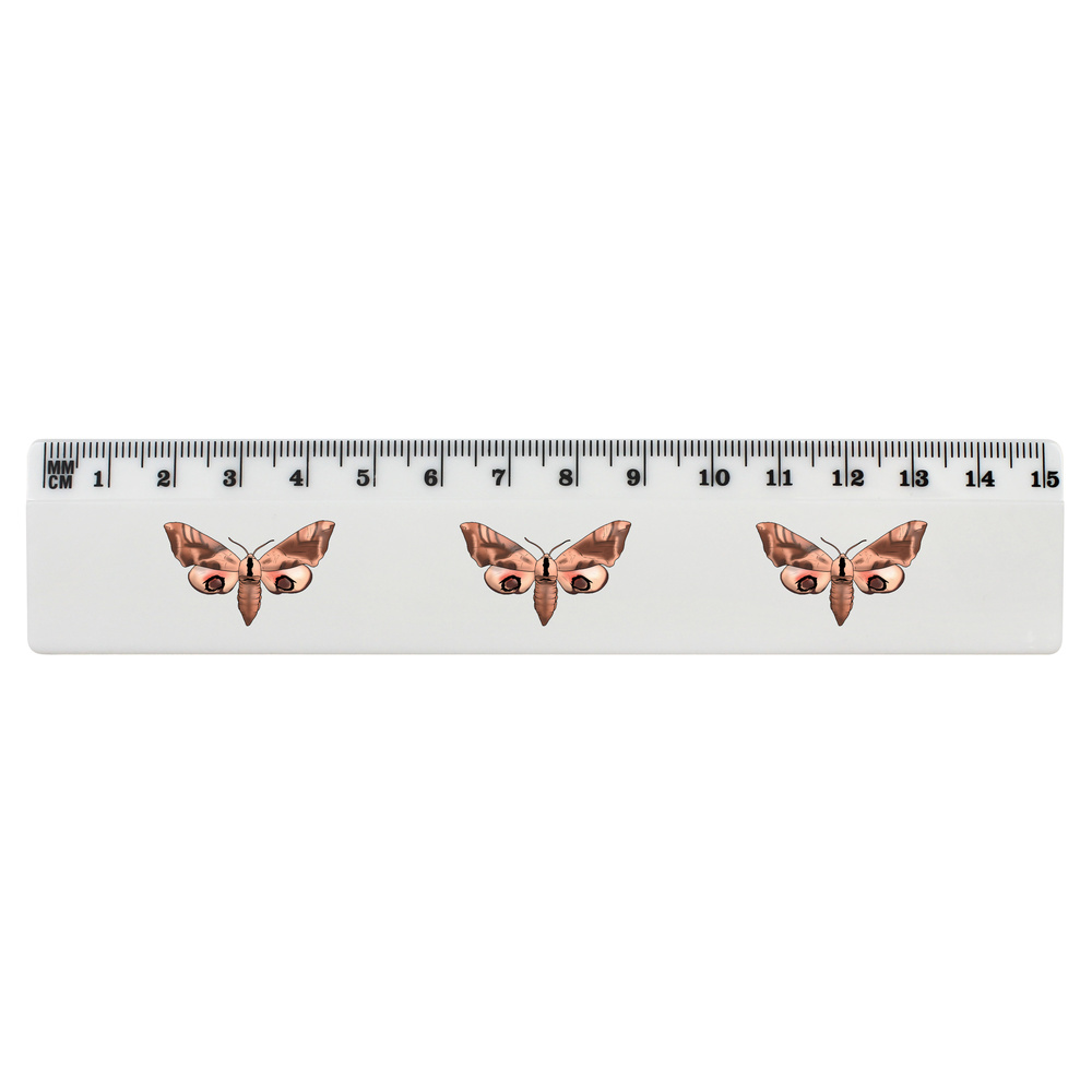 'Hawk Moth' 15cm (6 Inch) White Plastic Ruler (RL00072899)