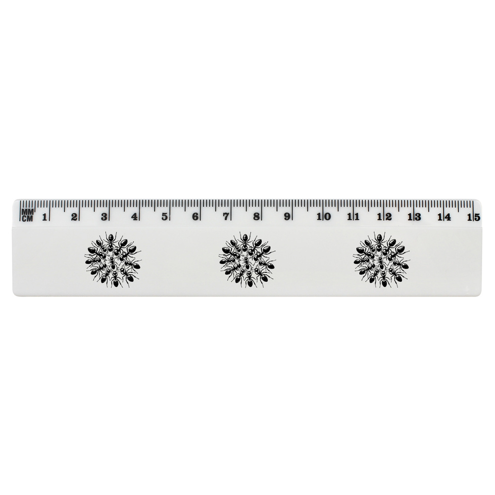 'Floating Ant Raft' White Plastic Ruler (RL053540)
