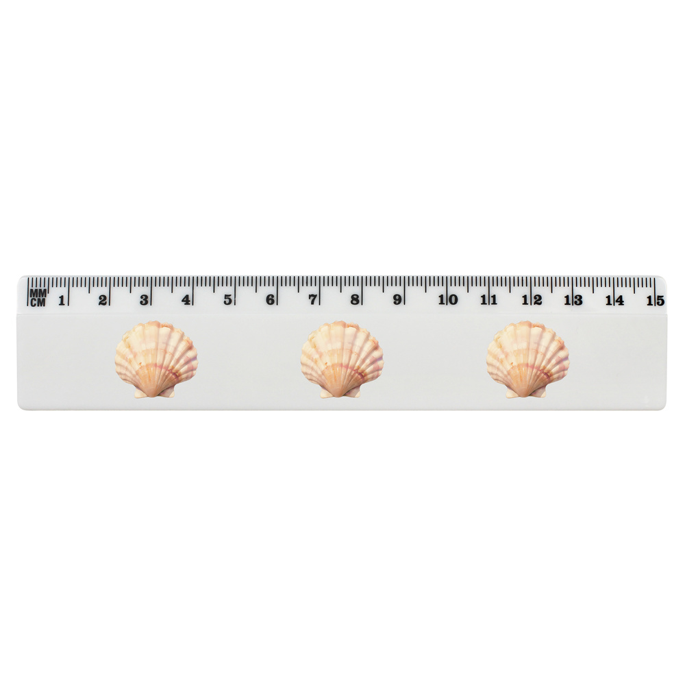 'Scallop Shell' 15cm (6 Inch) White Plastic Ruler (RL00096281)