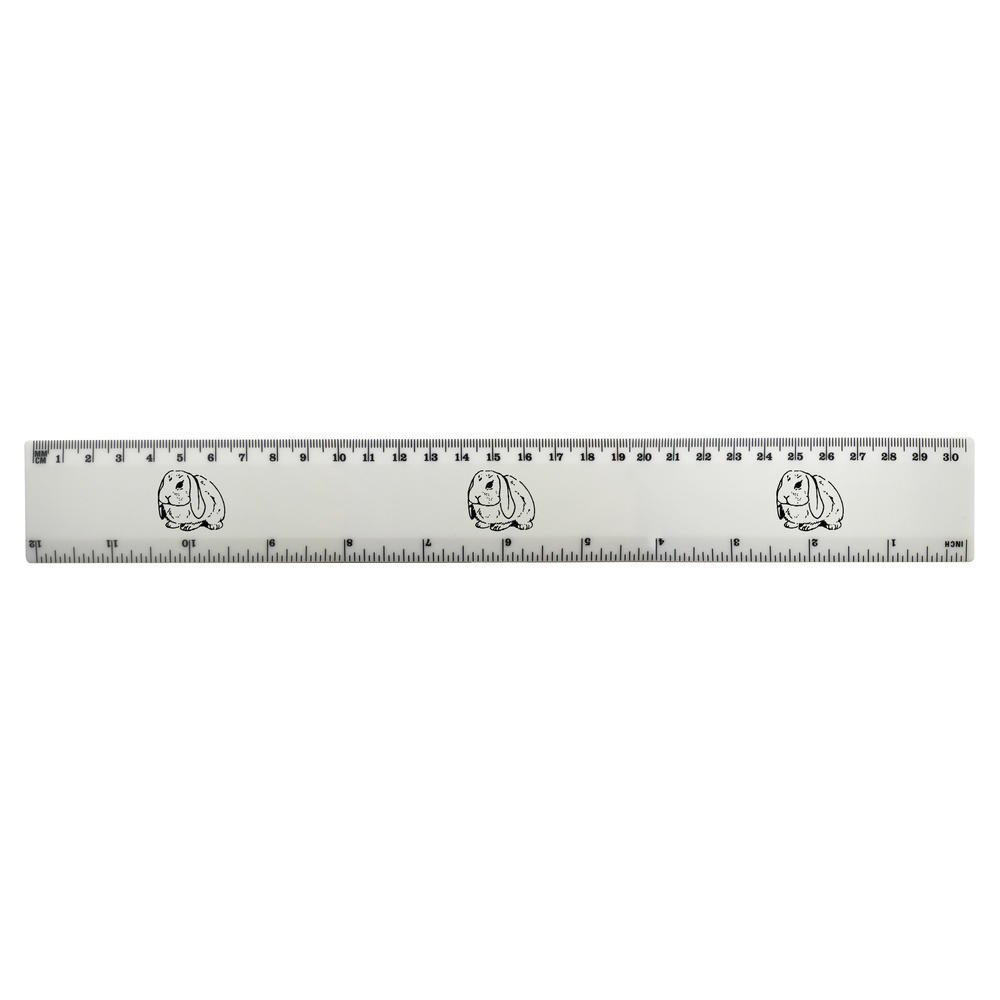 'Lop Rabbit' 30cm (12 Inch) White Plastic Ruler (RL00040417)