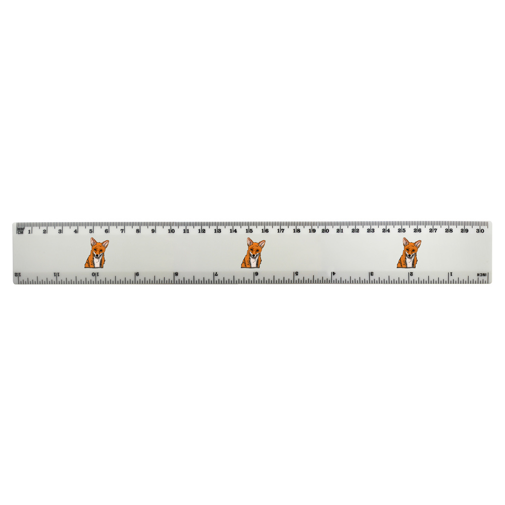 'Fox Face' 30cm (12 Inch) White Plastic Ruler (RL00046711)