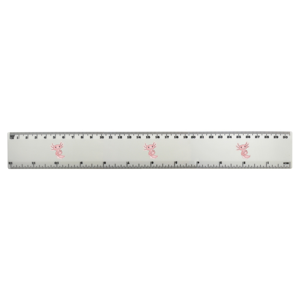 'Cute Axolotl' 30cm (12 Inch) White Plastic Ruler (RL00050485)