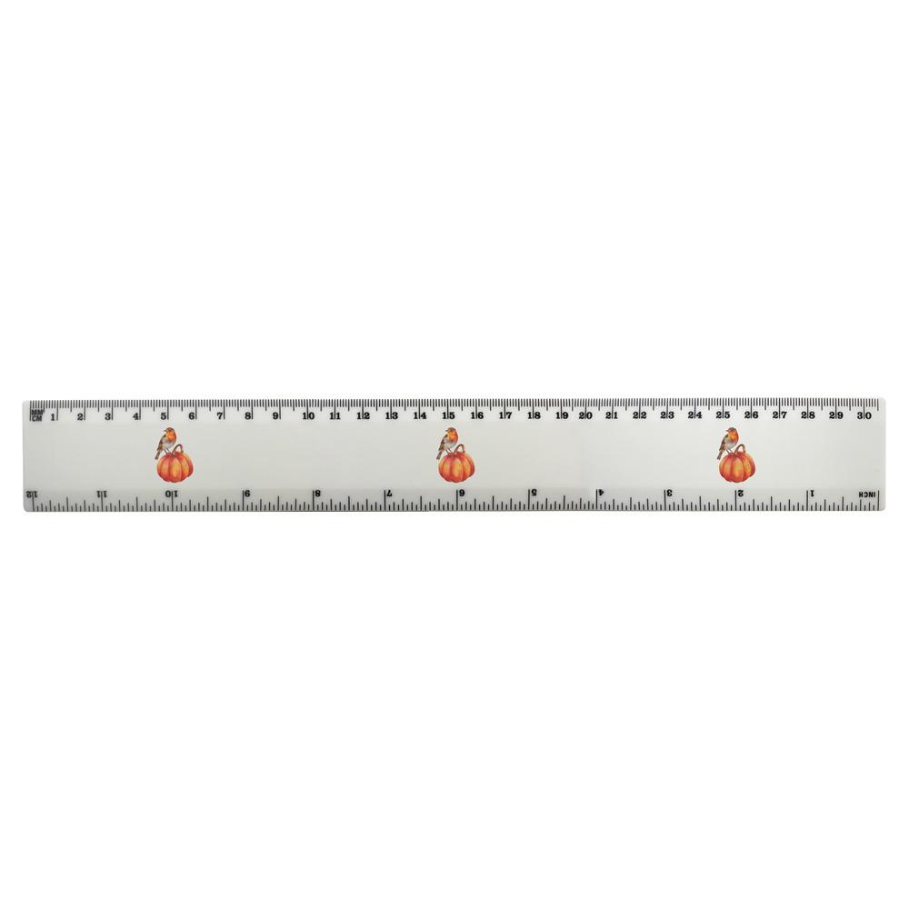 'Robin On Pumpkin' 30cm (12 Inch) White Plastic Ruler (RL00057195)