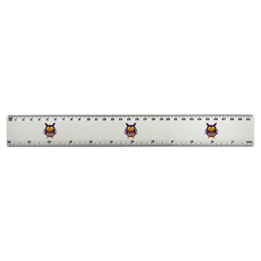 'Patchwork Owl' 30cm (12 Inch) White Plastic Ruler (RL00066684)