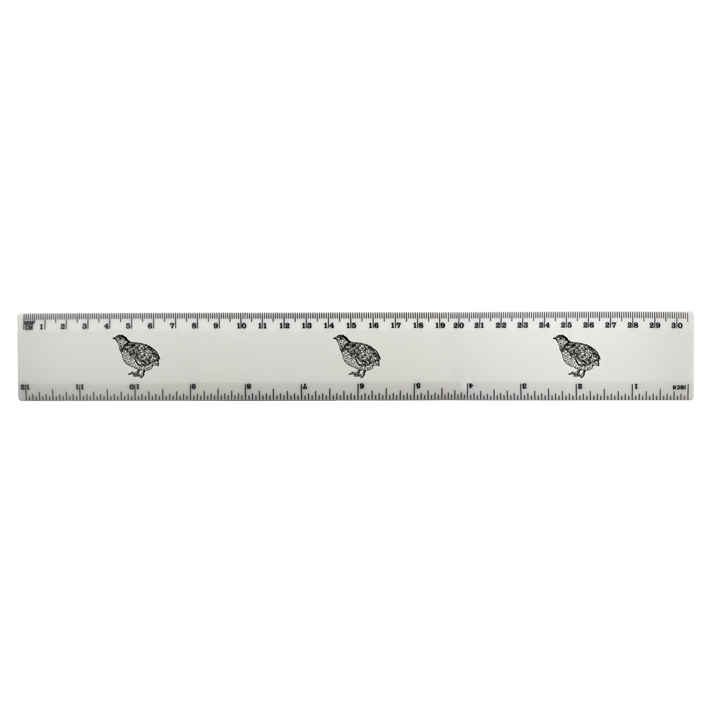 'Bird Quail' 30cm (12 Inch) White Plastic Ruler (RL00089174)