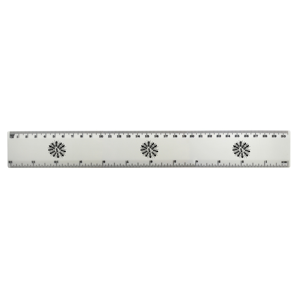 'Floating Ant Raft' 30cm (12 Inch) White Plastic Ruler (RL00094886)