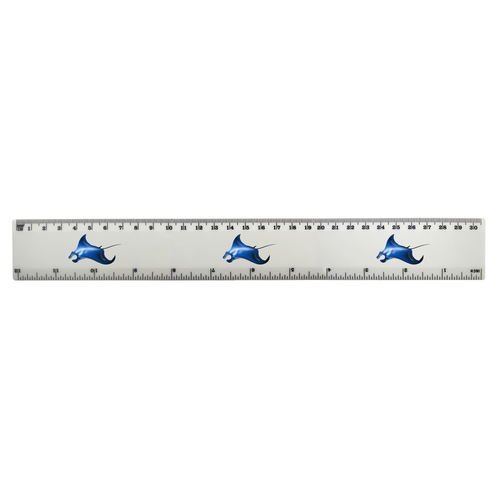 'Manta Ray' 30cm (12 Inch) White Plastic Ruler (RL00094980)