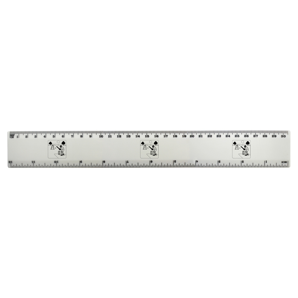 'Cricket Match Action' 30cm (12 Inch) White Plastic Ruler (RL00096192)
