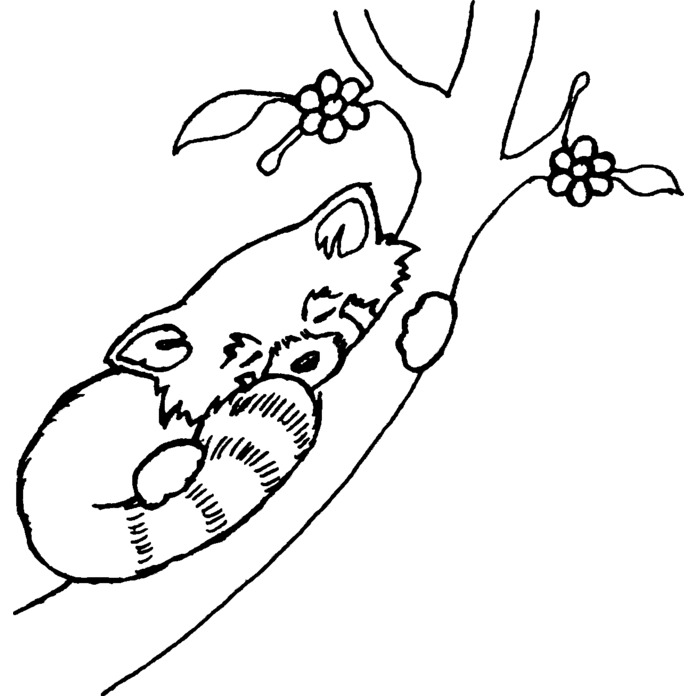 'Red Panda' Unmounted Rubber Stamp - For Crafting, Scrapbooking and Card Making - Size A7 (RS00000705)