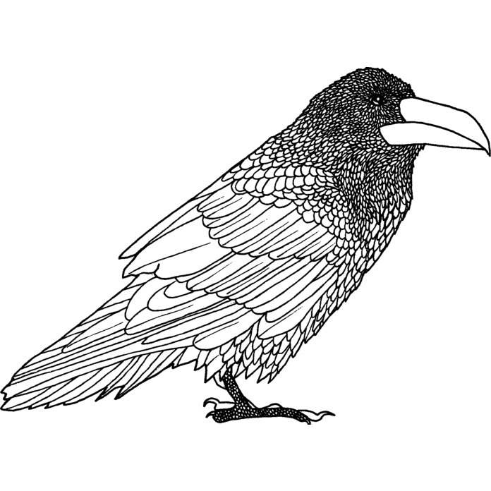 'Crow' Unmounted Rubber Stamp (RS003666)