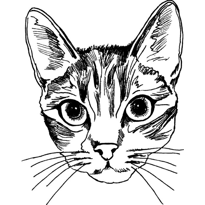 'Cat Face' Unmounted Rubber Stamp (RS005828)
