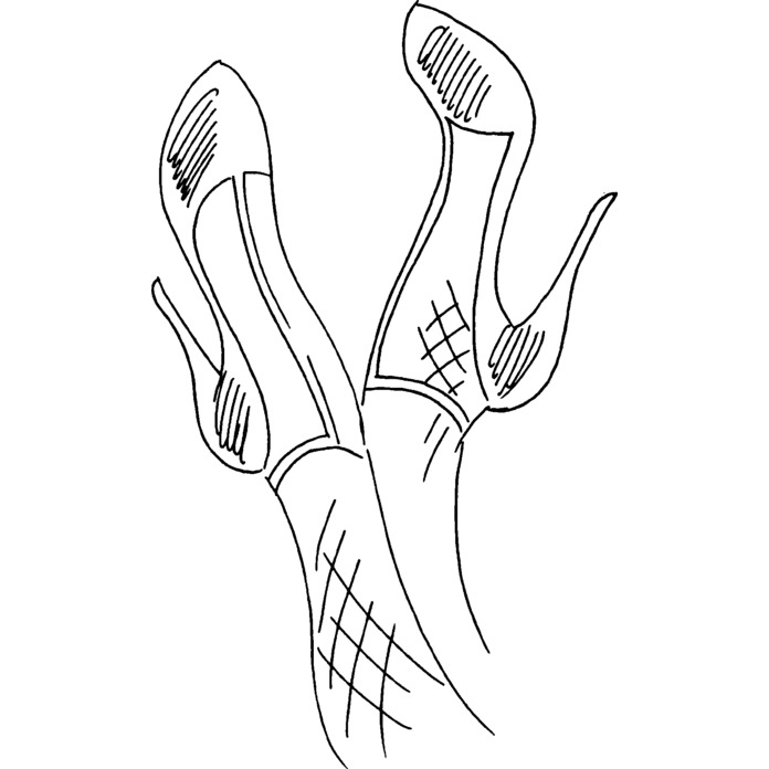 'Ladies Shoes' Unmounted Rubber Stamp - For Crafting, Scrapbooking and Card Making (RS006664)