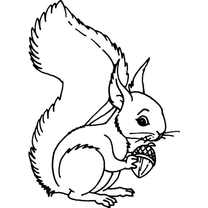 'Squirrel' Unmounted Rubber Stamp -  For Crafting, Scrapbooking and Card Making - Size A7 (RS00005114)