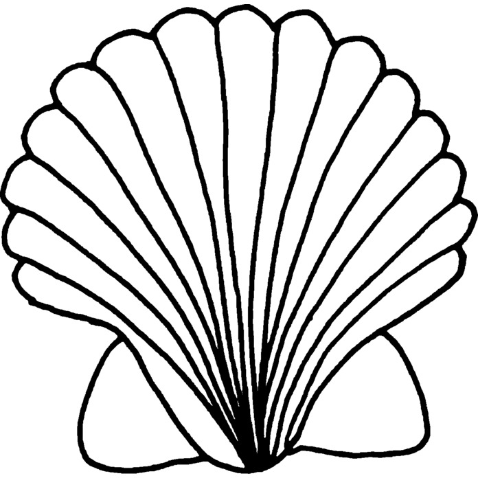 'Scallop Shell' Unmounted Rubber Stamp - For Crafting, Scrapbooking and Card Making (RS011085)