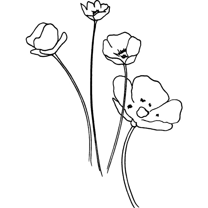'Buttercups' Unmounted Rubber Stamp - For Crafting, Scrapbooking and Card Making - Size A7 (RS00006212)