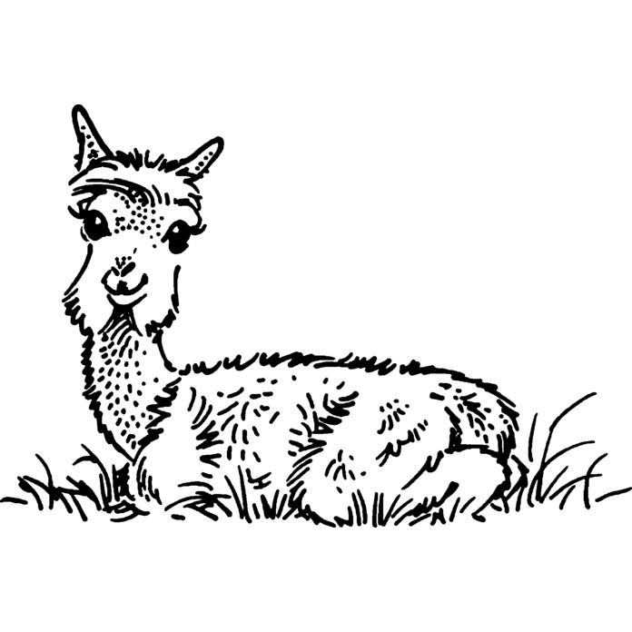 'Baby Alpaca' Unmounted Rubber Stamp - For Crafting, Scrapbooking and Card Making (RS021983)
