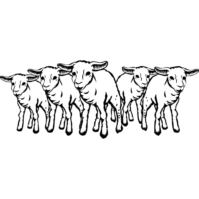 'Group Of Sheep' Unmounted Rubber Stamp (RS012598) - Picture 3 of 6