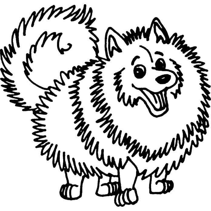 'Pomeranian Dog' Unmounted Rubber Stamp - For Crafting, Scrapbooking and Card Making (RS012677)