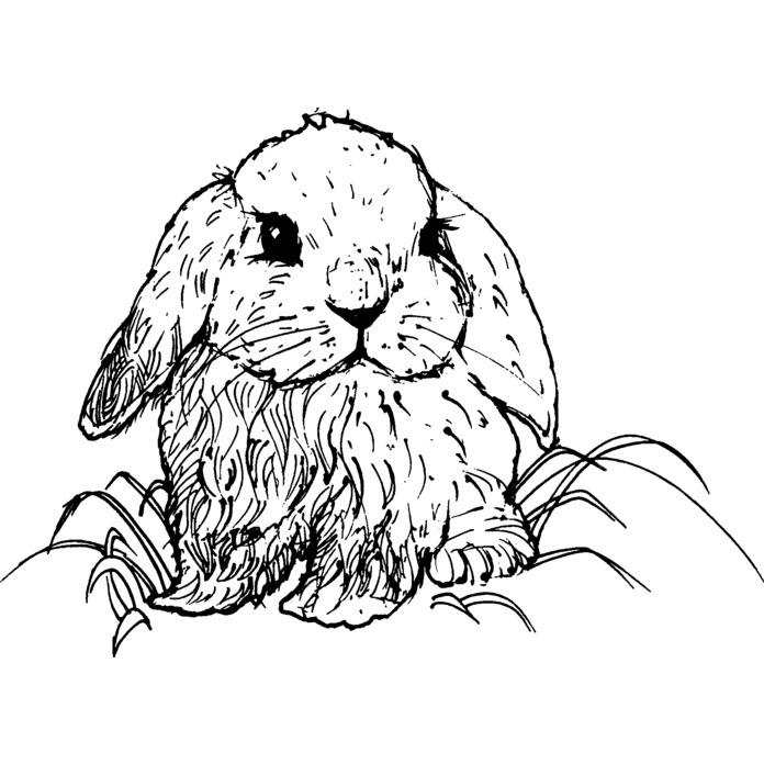 'Cute Bunny Rabbit' Unmounted Rubber Stamp - For Crafting, Scrapbooking and Card Making - Size A7 (RS00007536)