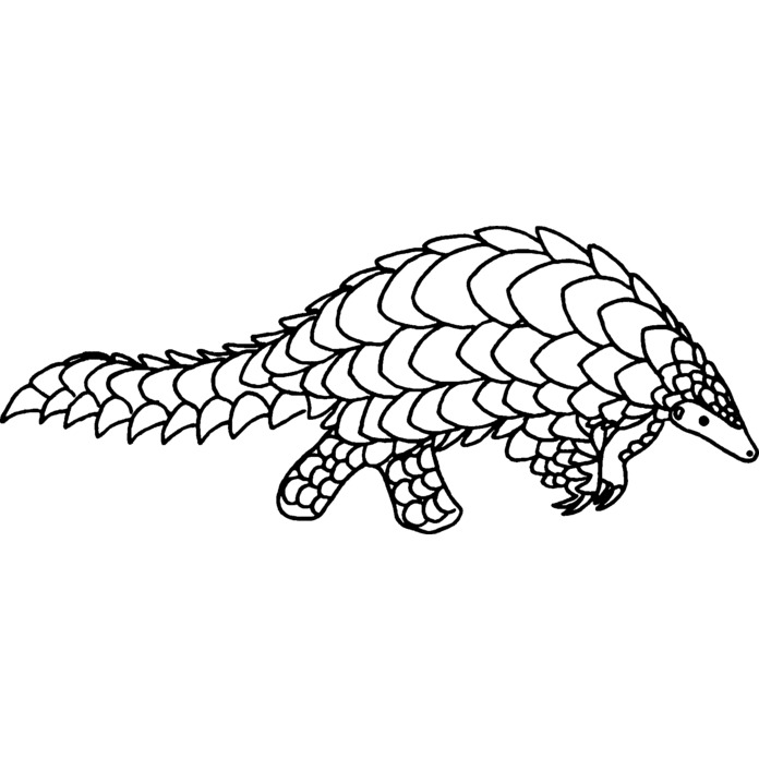 'Pangolin' Unmounted Rubber Stamp - For Crafting, Scrapbooking and Card Making - Size A7 (RS00007590)