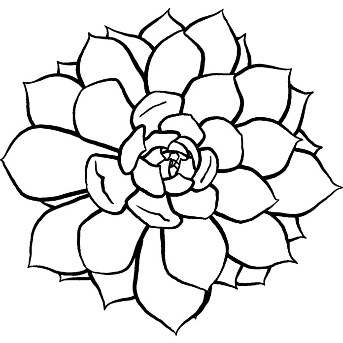 'Succulent Plant' Unmounted Rubber Stamp - For Crafting, Scrapbooking and Card Making (RS013845)