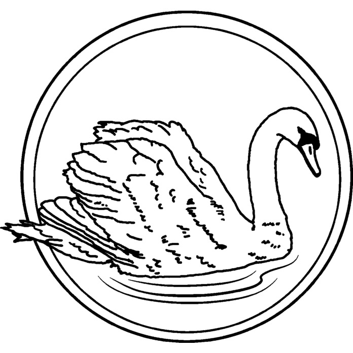 'Graceful Swan' Unmounted Rubber Stamp - For Crafting, Scrapbooking and Card Making (RS017513)